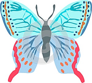 Butterfly in soft blue tones vector drawing